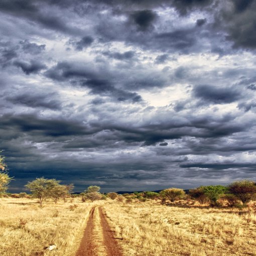 mietwagenrundreise-namibia-in-afrika-wildlife-reise-planen