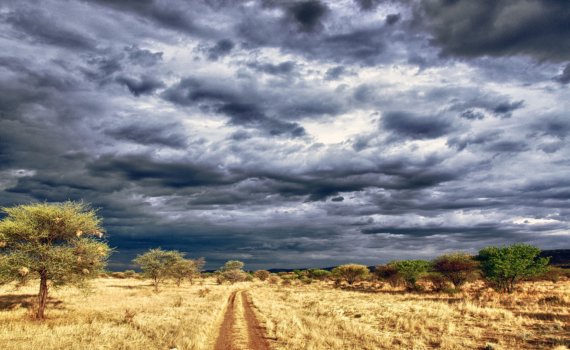 mietwagenrundreise-namibia-in-afrika-wildlife-reise-planen