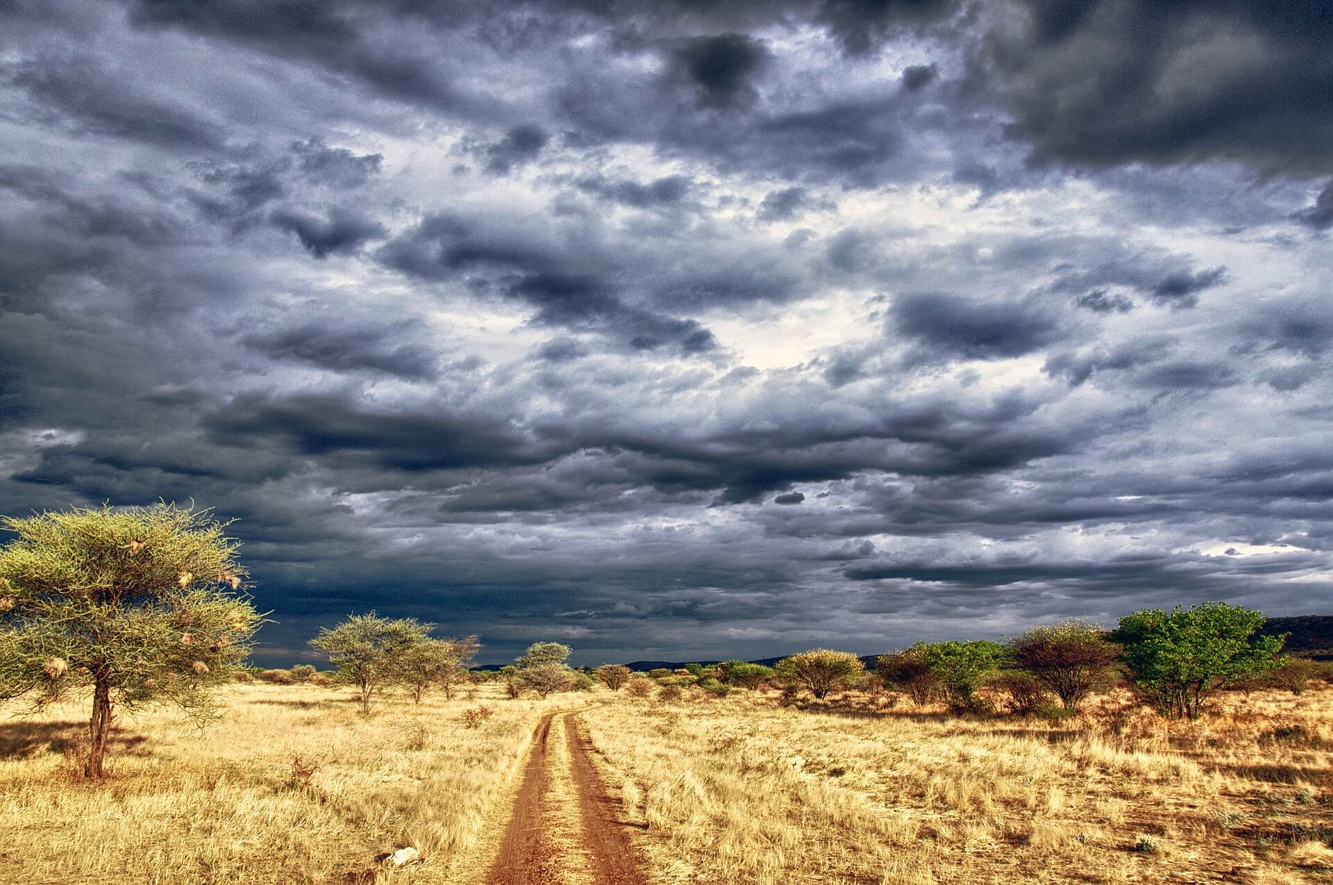 mietwagenrundreise-namibia-in-afrika-wildlife-reise-planen