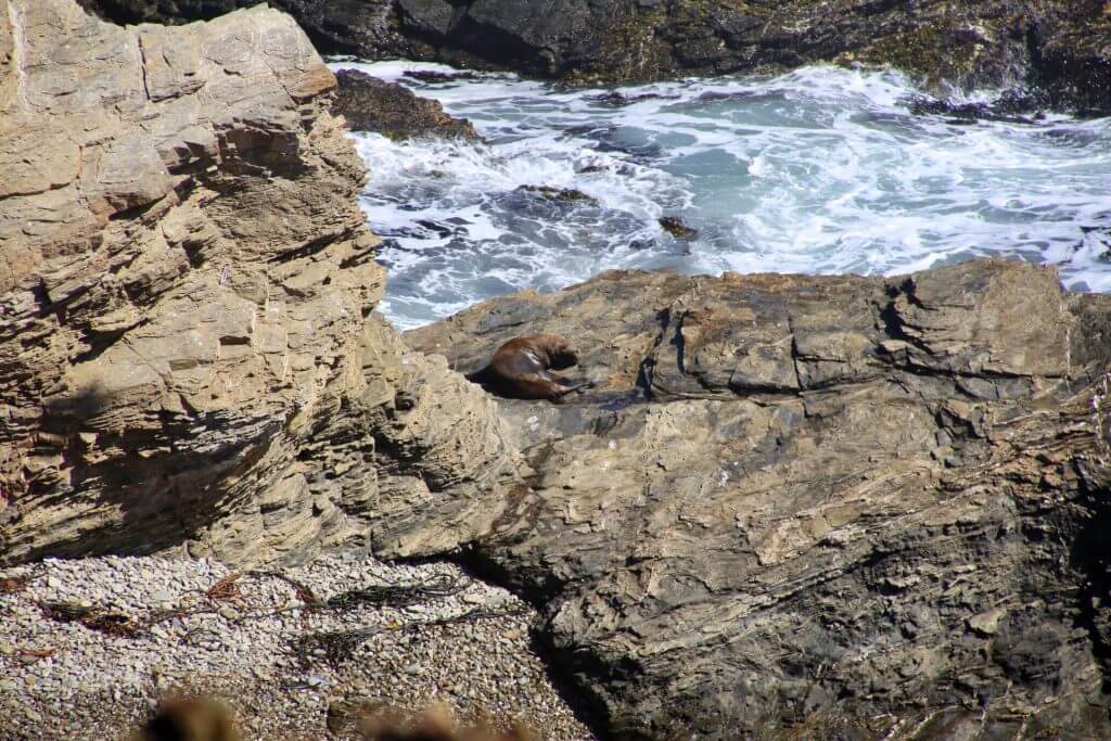 punta-de-lobos-roadtrip-wanderurlaub-chile-auto-selbstfahrerreise-ozean-nationalpark-bluewater-trekkingurlaub-fotoshot-nice-shot-fotographieren