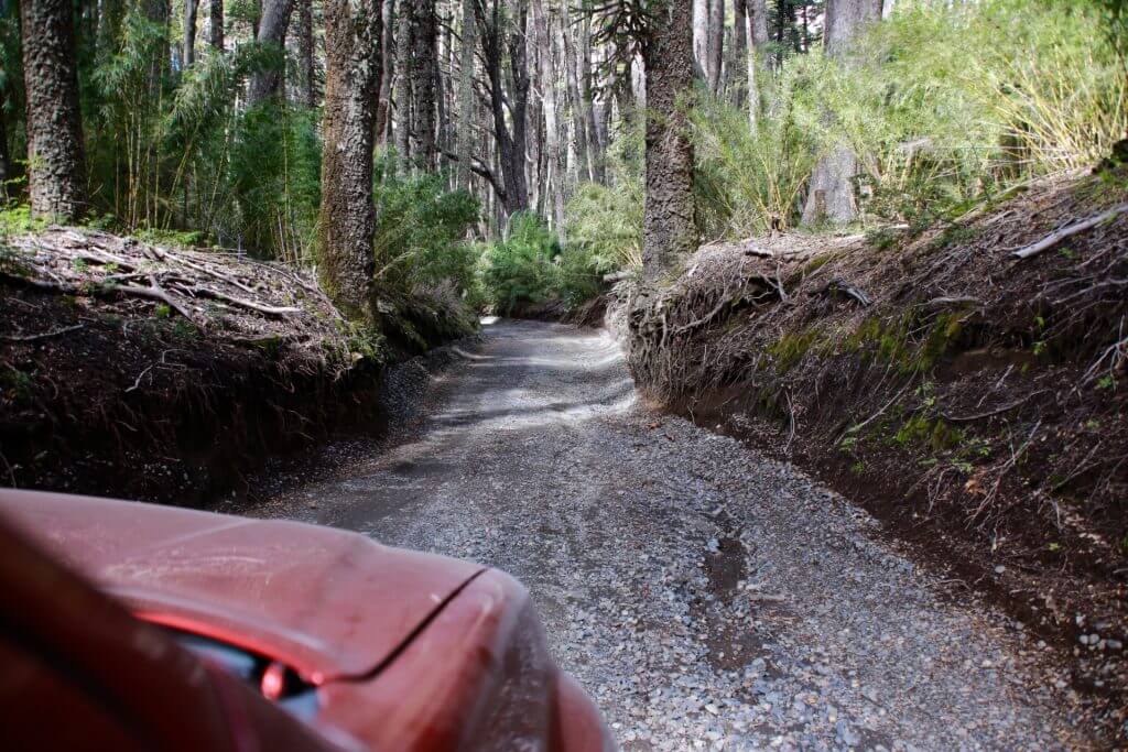 trekkingurlaub-wanderurlaub-fotoshot-nice-shot-fotographieren-chile-seengebiet-roadtrip-auto-selbstfahrerreise-fahrspass