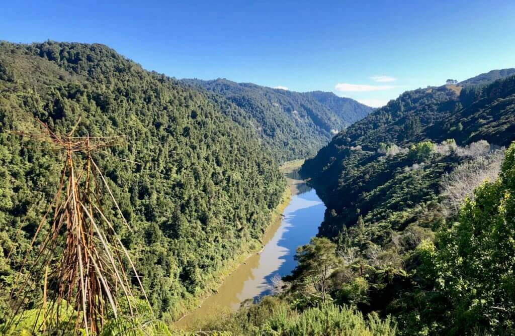 whanganui-rivers-rundreise-roadtrip-neuseeland-reiseprofi-reiseinfo-reisespezialist